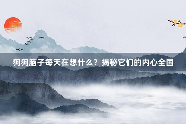 狗狗脑子每天在想什么？揭秘它们的内心全国