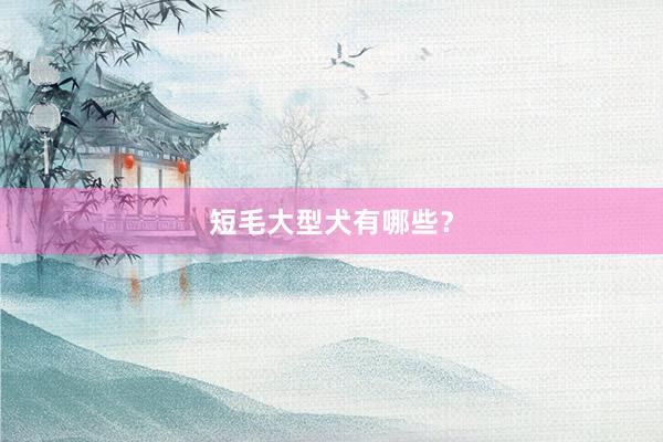 短毛大型犬有哪些？
